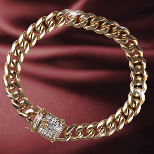 Daniel Steiger Regent Men&