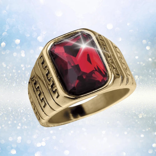 Daniel Steiger Cardinal Men&