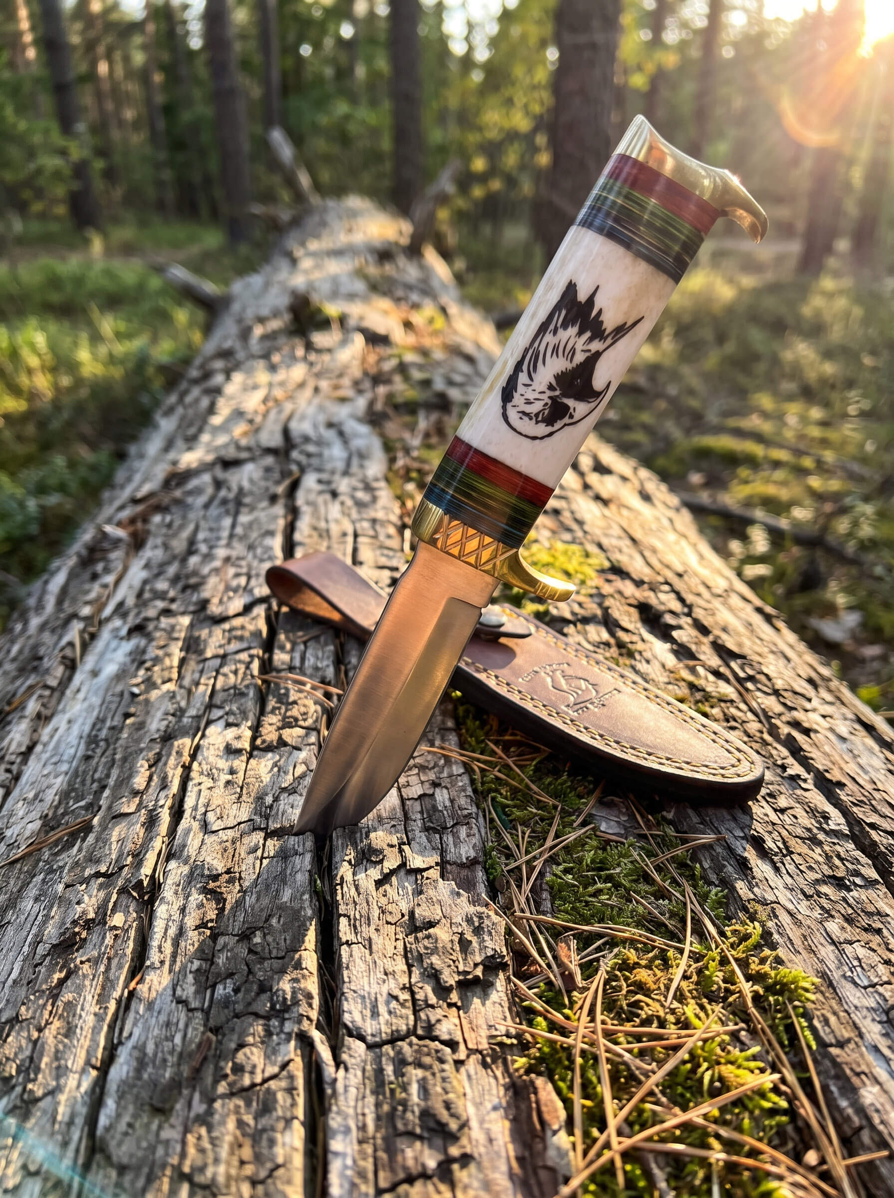 Predator Knife with engraved handle and leather sheath displayed on a fallen forest log in warm sunlight Up To 75% Off Retail