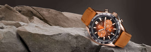 Daniel Steiger Desert Shadow Watch