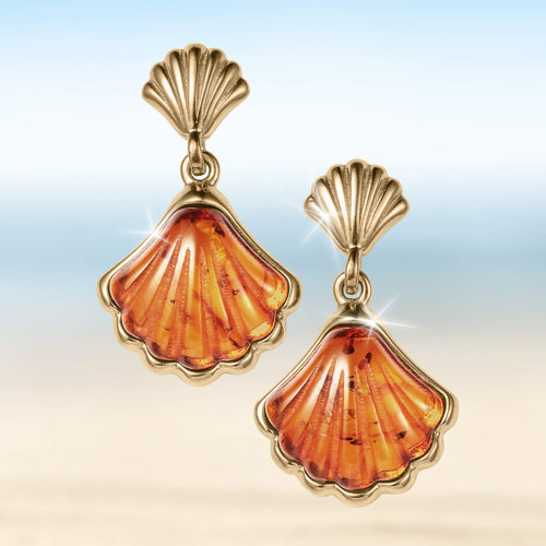 Sunset Shells Collection