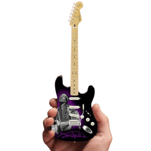 Daniel Steiger Jimi Hendrix Tribute Fender™ Strat™ Guitar Model