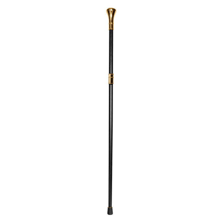 Daniel Steiger Freemason Walking Stick