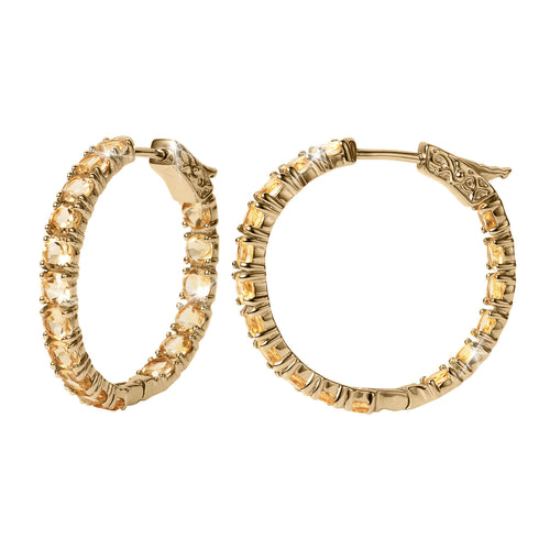 Daniel Steiger Chic Citrine Hoop Earrings