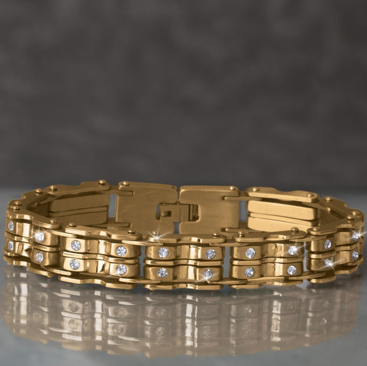 Daniel Steiger Energy Men's Bracelet