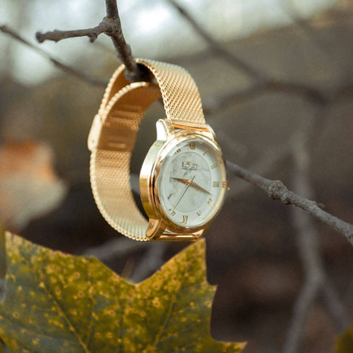 Daniel Steiger Marble Mesh Warm Gold Watch